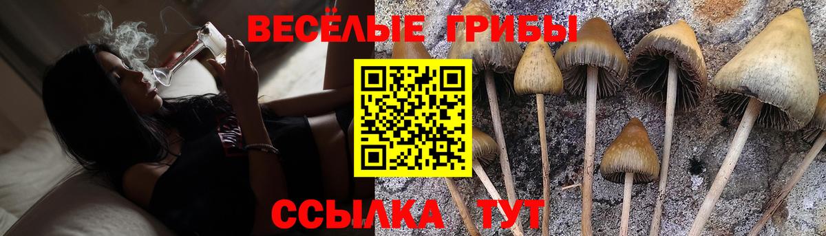 где купить   Вход с VPN  Чебоксары  Псилоцибиновые грибы GOLDEN TEACHER 